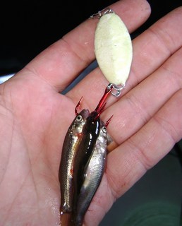 LTHTUG 10G18G Big Spoon Bait BUCH SPESIAL Fishing Lure Environmental  Protection Copper Blank Metal Spoons Pike